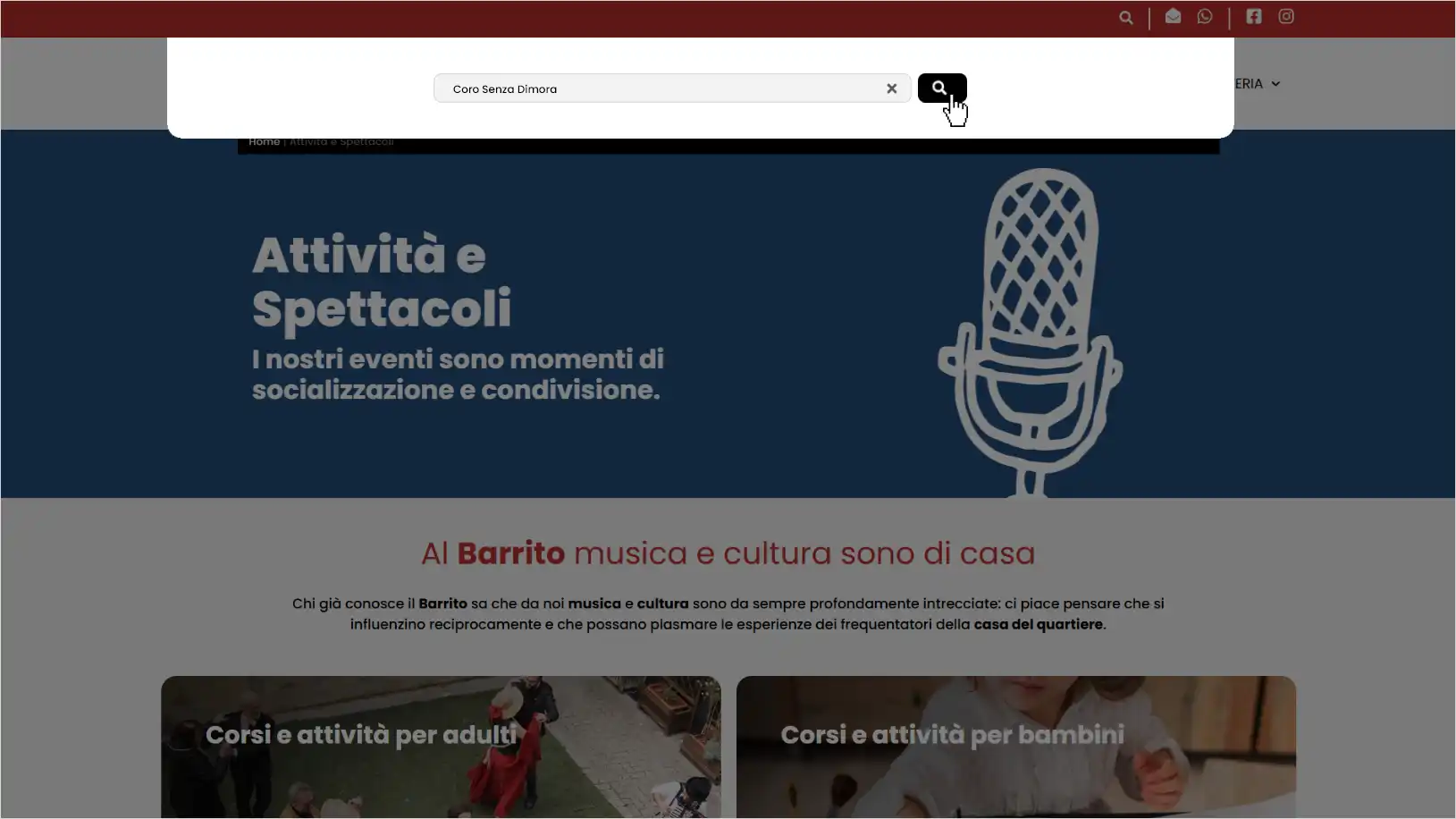 Input ricerca sul sito del Barrito